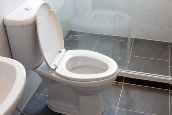 Professional Toilet Replacement